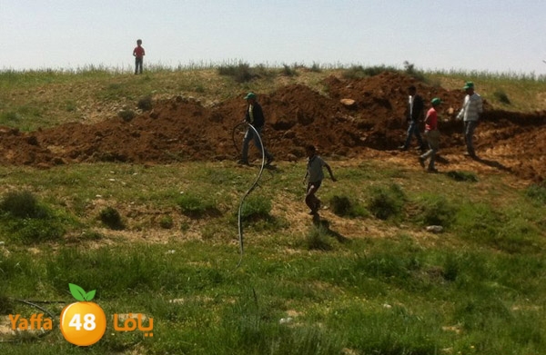 naqab lud 0329 (4).jpg